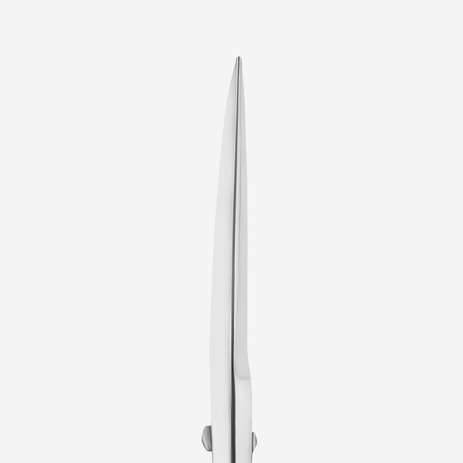 Augenbrauen-Schere STALEKS EXPERT SE-30/1